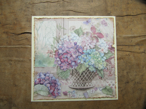 Přání hortenzie — foto 2