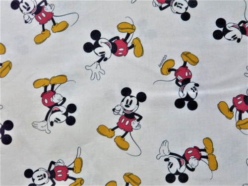 Mickey Mouse na bílé — foto 2
