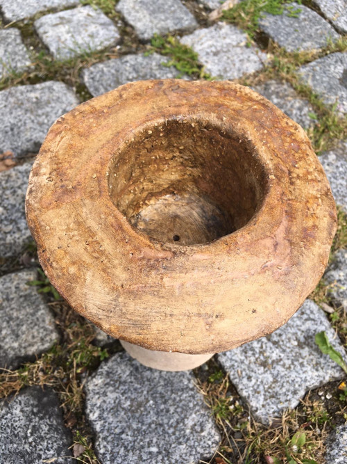 Hlava ženy-květináč — foto 5