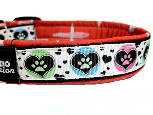 Obojek Heart Paw softshell — foto 2