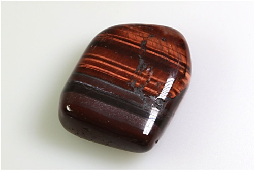 Býčí oko 3,2 cm — foto 2