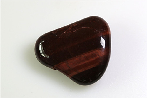 Býčí oko 3,2 cm — foto 2