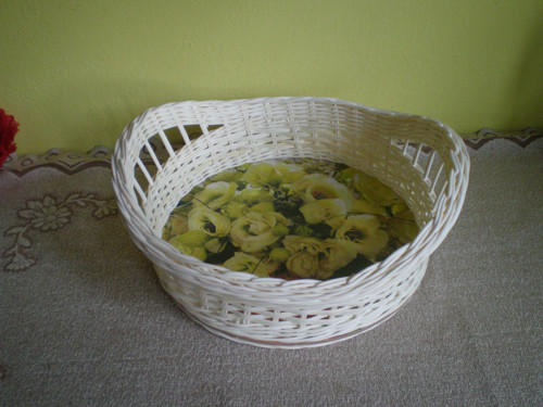Ošatka kulatá — foto 5
