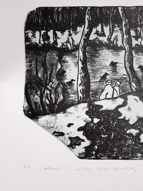 Krmení kachniček - litografie — foto 2
