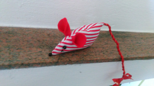 Levandulová voňka — foto 2