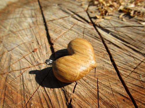 Dubové srdíčko — foto 4