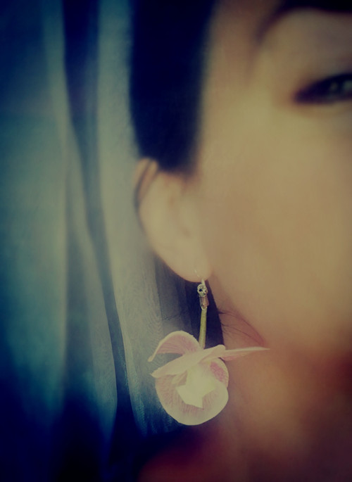 Orchidee — foto 3