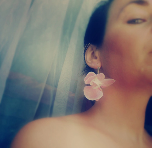 Orchidee — foto 4