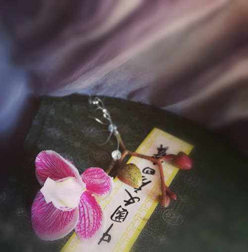 Orchidee asymetrické — foto 6