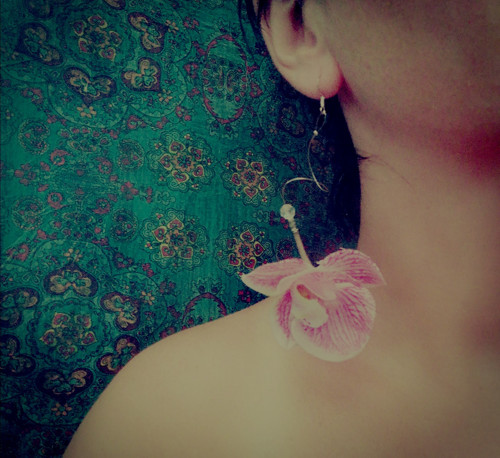 Orchidee asymetrické — foto 3