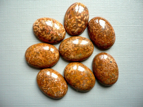 Kabošon - jaspis pavoučí 18 mm — foto 2