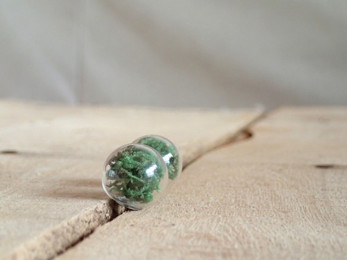 Moss — foto 2