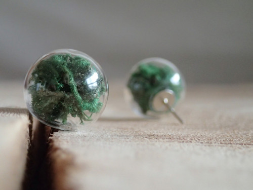 Moss — foto 4