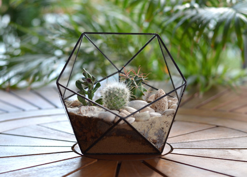Florarium "Koulička velká" — foto 2