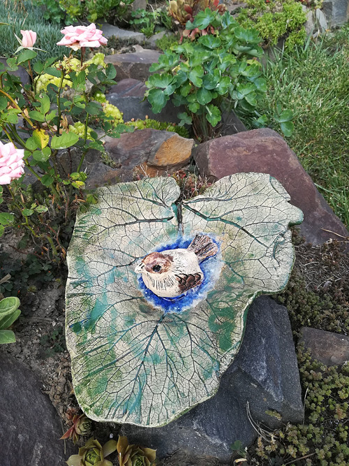 Koupání v kapce vody — foto 3