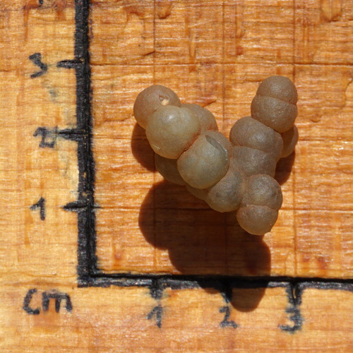 Skulptura z chalcedonu — foto 2