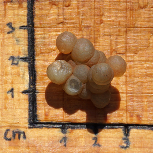 Skulptura z chalcedonu — foto 5