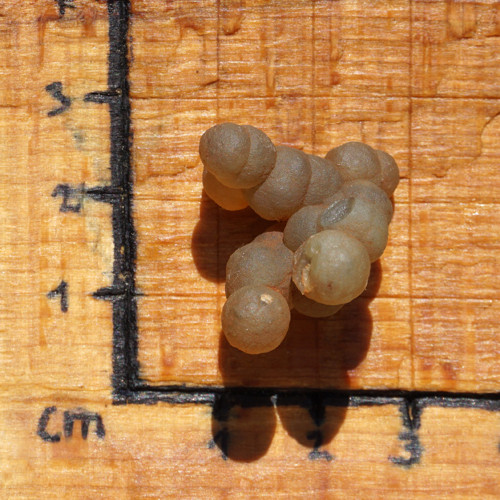 Skulptura z chalcedonu — foto 3
