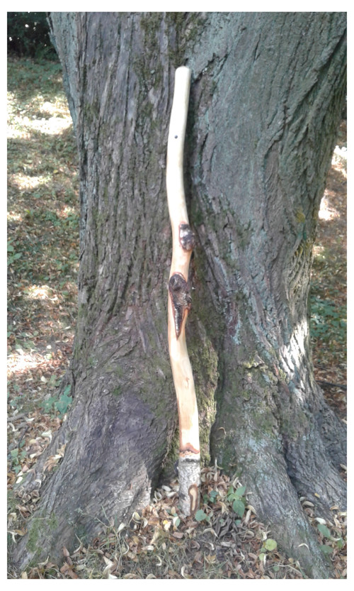 Didgeridoo - Březové Cisko 2020 — foto 3