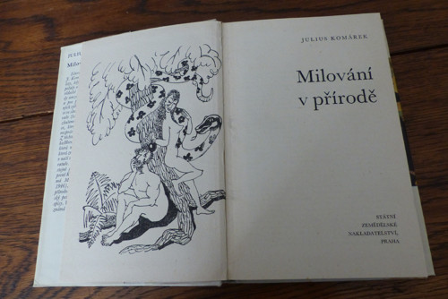 Milování v přírodě, 1969 — foto 3