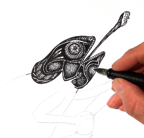 Chameleon — foto 2