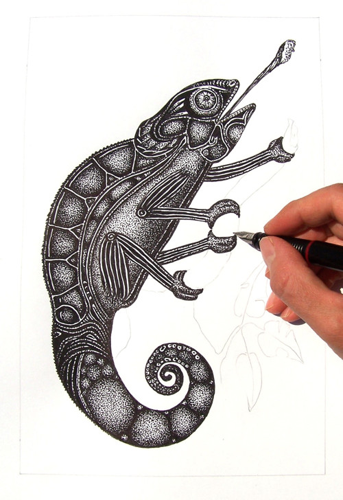 Chameleon — foto 4