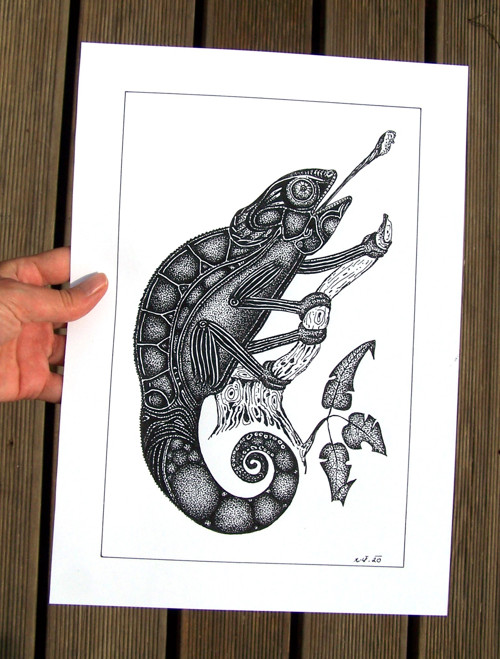 Chameleon — foto 5
