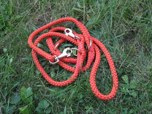 Výcvikové vodítko — foto 2