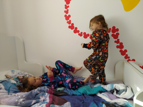Moji Kamarádi Z Lesa — foto 4