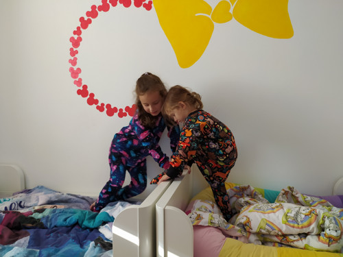Moji Kamarádi Z Lesa — foto 5