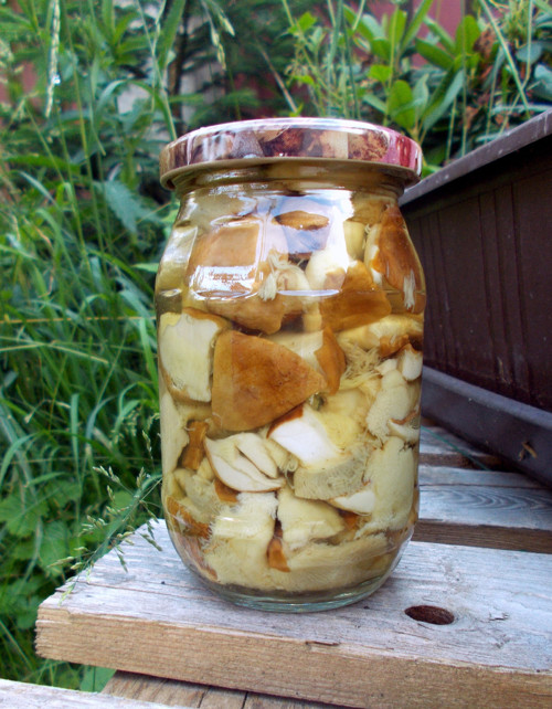 Hřib smrkový v octě, 260 gramů — foto 5