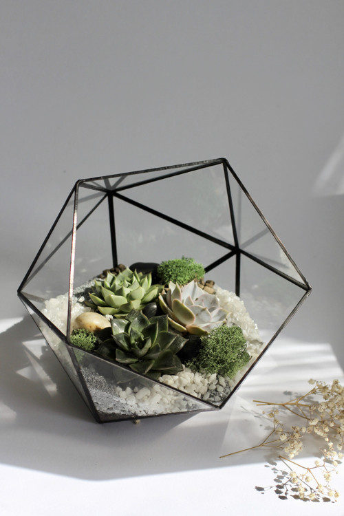 DIY sada + terárium "Moon" — foto 4