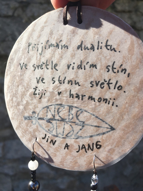 Jin A Jang — foto 5