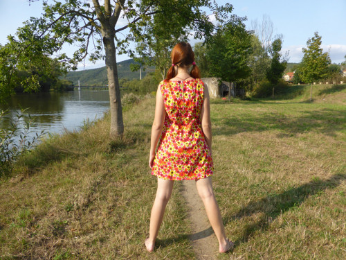 Květinová šedesátá — foto 3