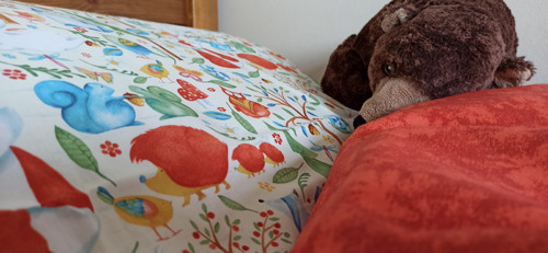 Lesní zvířátka — foto 2