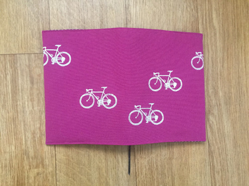 NA PŘÁNÍ - Sígrův peloton — foto 2