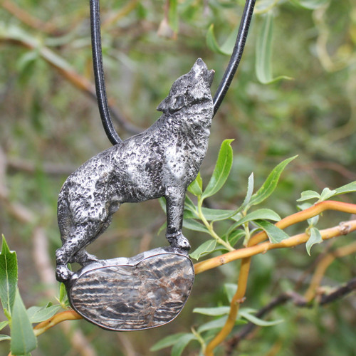 Canis lupus — foto 3
