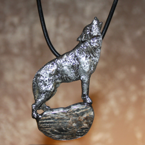 Canis lupus — foto 4