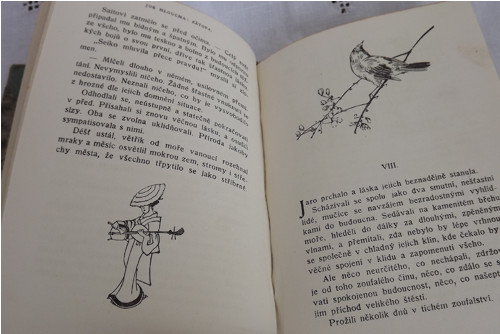 Zátopa - Joe Hloucha — foto 5