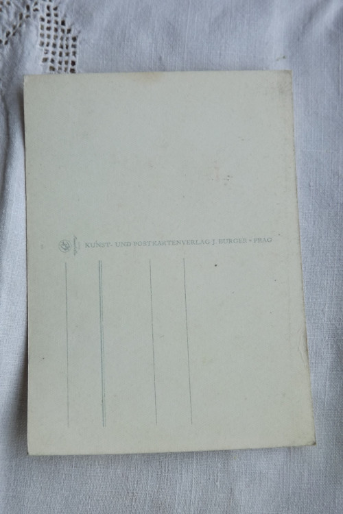 Červené květy - pohlednice — foto 2