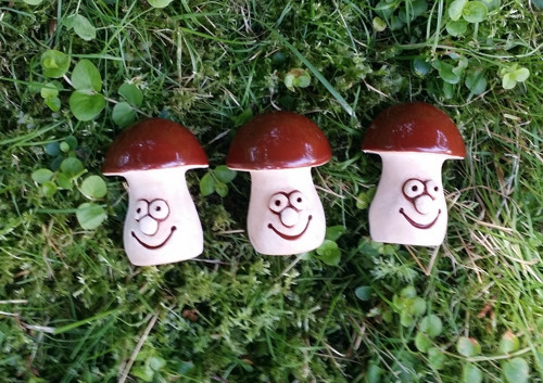 Hříbek s úsměvem — foto 3