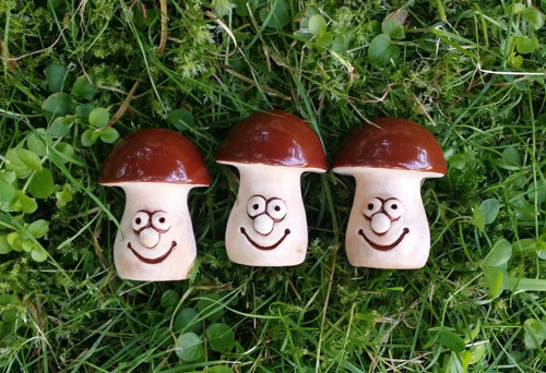 Hříbek s úsměvem — foto 2