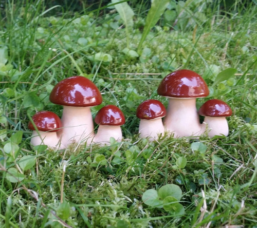 Babi s vnoučaty — foto 2