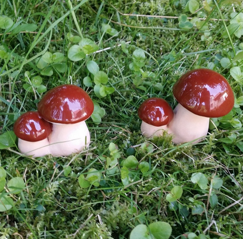 Velký s mládětem — foto 6