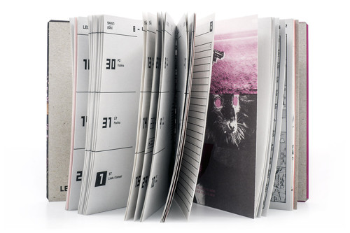 KA_LEN_DIAR 2021 - PAPER / no. 56 — foto 5