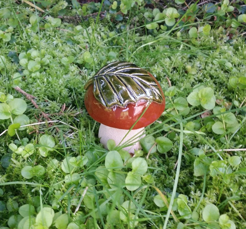 Hříbek klasik s lístečkem — foto 2