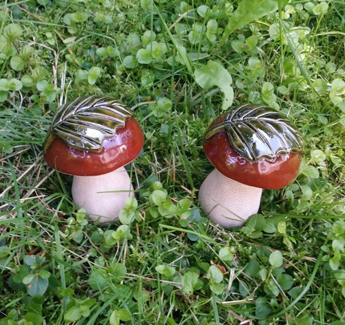 Hříbek klasik s lístečkem — foto 4