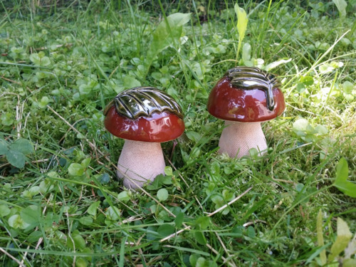 Hříbek klasik s lístečkem — foto 6