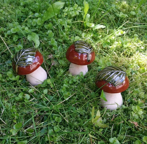 Hříbek klasik s lístečkem — foto 5