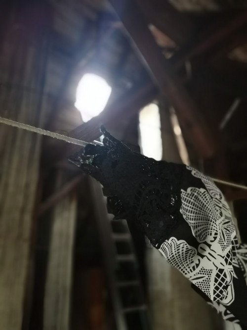 Fotokolekce — foto 6